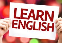 Международная система тестирования английского языка - Язык